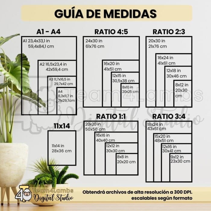 Medidas productos digitales