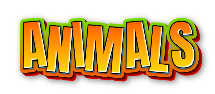 Animals Coloring Book - Imagen 7